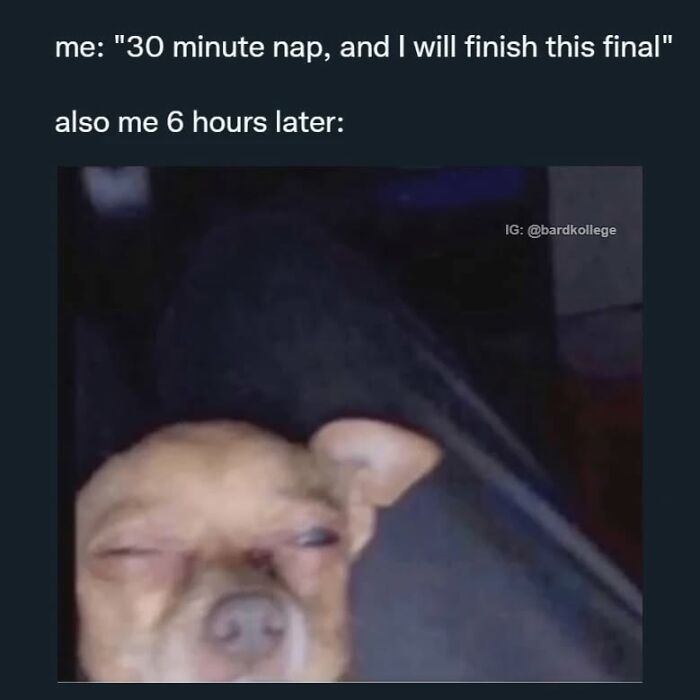 126 Hilarious And Relatable College Memes For Broken Students