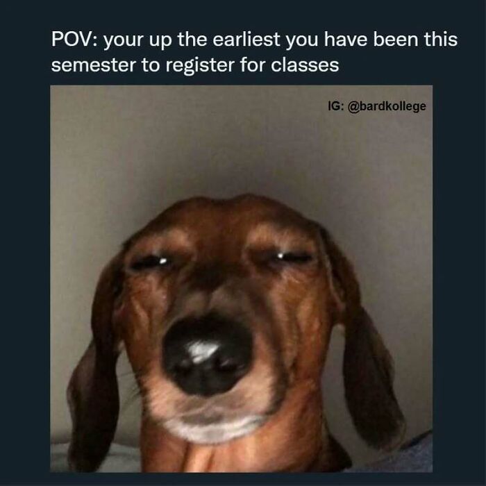 126 Hilarious And Relatable College Memes For Broken Students