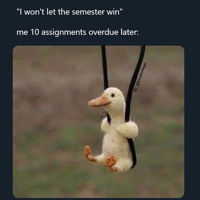 126 Hilarious And Relatable College Memes For Broken Students