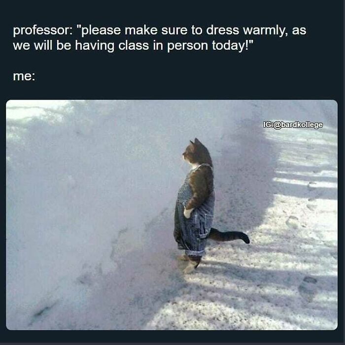 126 Hilarious And Relatable College Memes For Broken Students