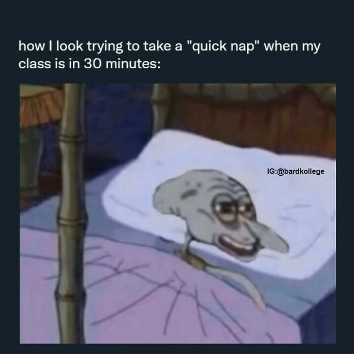 126 Hilarious And Relatable College Memes For Broken Students