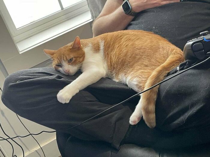 “Pretty Sure Hubby Does This On Purpose”: Women Share 55 Infuriating Examples Of Men Being Men (New Pics) “Pretty Sure Hubby Does This On Purpose”: Women Share 55 Infuriating Examples Of Men Being Men (New Pics)