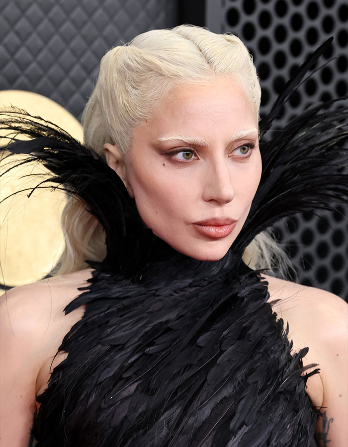 Amid Grammy Performance, Lady Gaga’s Ties With Epstein Spark Chatter As New Files Are Released