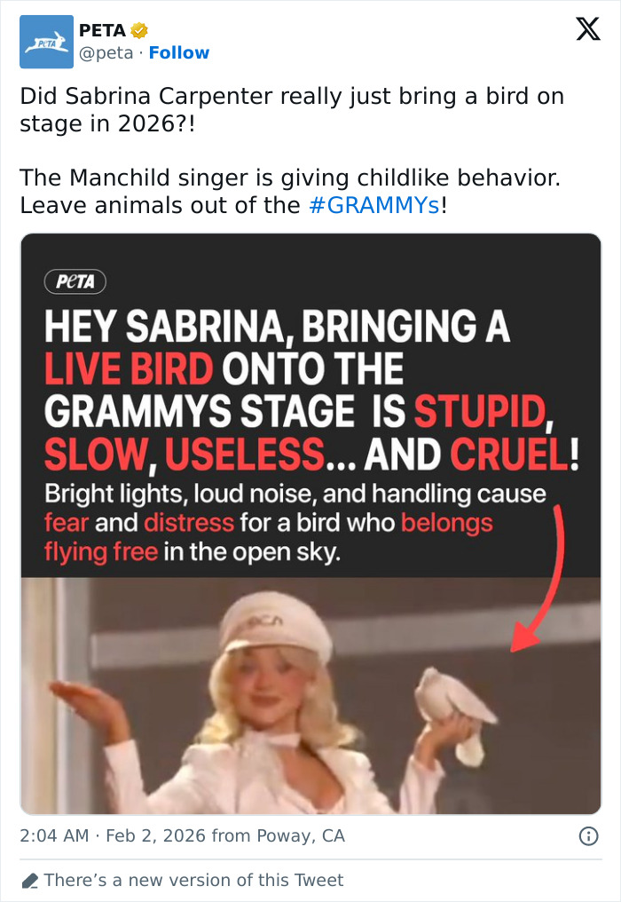 Sabrina Carpenter Slammed As “Stupid And Cruel” Over Her 2026 Grammys Performance