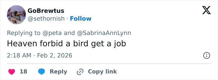 Sabrina Carpenter Slammed As “Stupid And Cruel” Over Her 2026 Grammys Performance