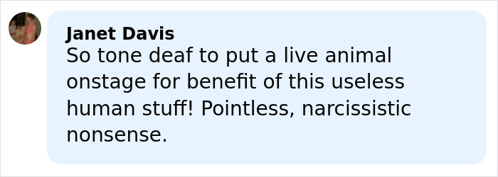 Sabrina Carpenter Slammed As “Stupid And Cruel” Over Her 2026 Grammys Performance