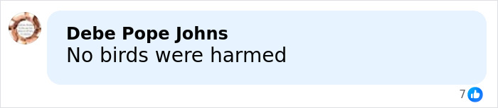 Sabrina Carpenter Slammed As “Stupid And Cruel” Over Her 2026 Grammys Performance