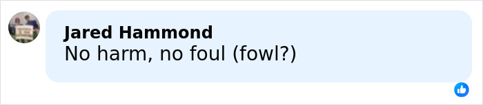 Sabrina Carpenter Slammed As “Stupid And Cruel” Over Her 2026 Grammys Performance