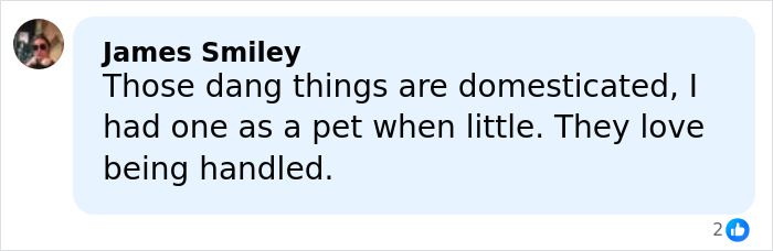 Sabrina Carpenter Slammed As “Stupid And Cruel” Over Her 2026 Grammys Performance