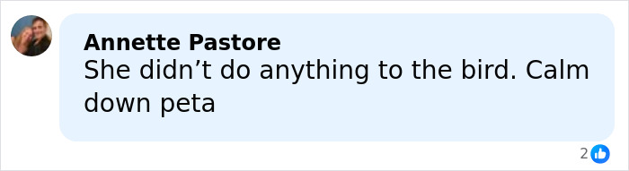 Sabrina Carpenter Slammed As “Stupid And Cruel” Over Her 2026 Grammys Performance