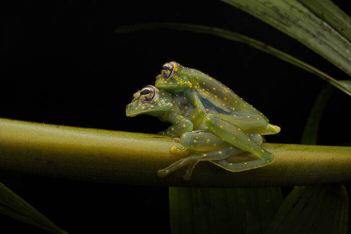 25 Stunning Photos From AAP Magazine’s Nature Issue That Show The Beauty And Power Of Our World 25 Stunning Photos From AAP Magazine’s Nature Issue That Show The Beauty And Power Of Our World