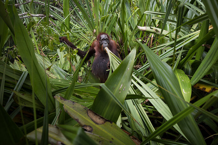 25 Stunning Photos From AAP Magazine’s Nature Issue That Show The Beauty And Power Of Our World 25 Stunning Photos From AAP Magazine’s Nature Issue That Show The Beauty And Power Of Our World