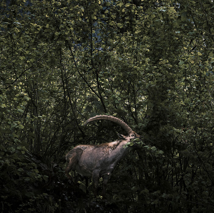 25 Stunning Photos From AAP Magazine’s Nature Issue That Show The Beauty And Power Of Our World 25 Stunning Photos From AAP Magazine’s Nature Issue That Show The Beauty And Power Of Our World