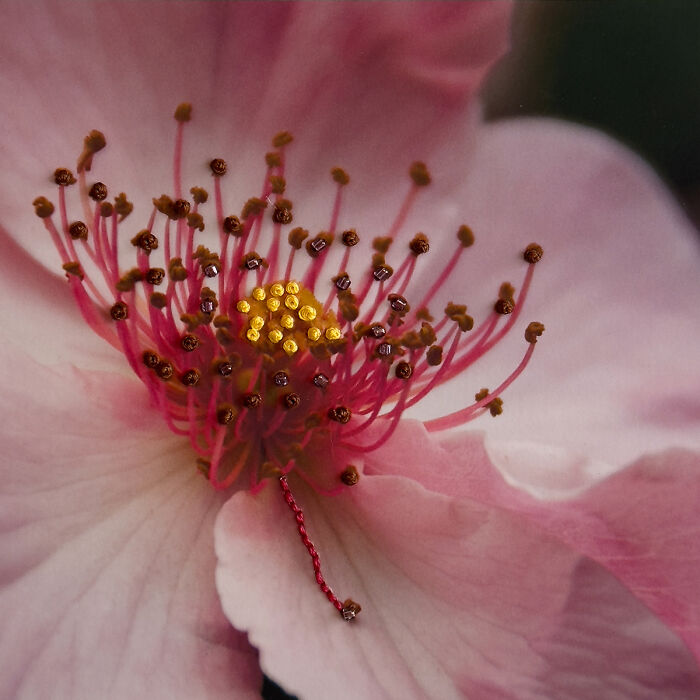 25 Stunning Photos From AAP Magazine’s Nature Issue That Show The Beauty And Power Of Our World 25 Stunning Photos From AAP Magazine’s Nature Issue That Show The Beauty And Power Of Our World