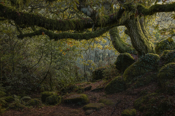 25 Stunning Photos From AAP Magazine’s Nature Issue That Show The Beauty And Power Of Our World 25 Stunning Photos From AAP Magazine’s Nature Issue That Show The Beauty And Power Of Our World