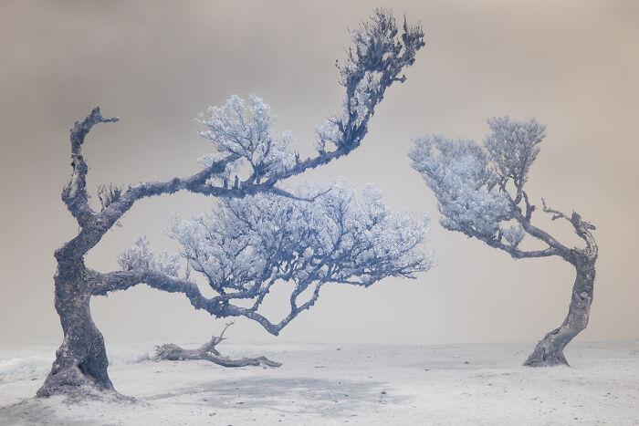 25 Stunning Photos From AAP Magazine’s Nature Issue That Show The Beauty And Power Of Our World 25 Stunning Photos From AAP Magazine’s Nature Issue That Show The Beauty And Power Of Our World