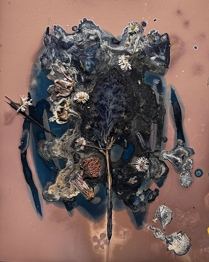 25 Stunning Photos From AAP Magazine’s Nature Issue That Show The Beauty And Power Of Our World 25 Stunning Photos From AAP Magazine’s Nature Issue That Show The Beauty And Power Of Our World