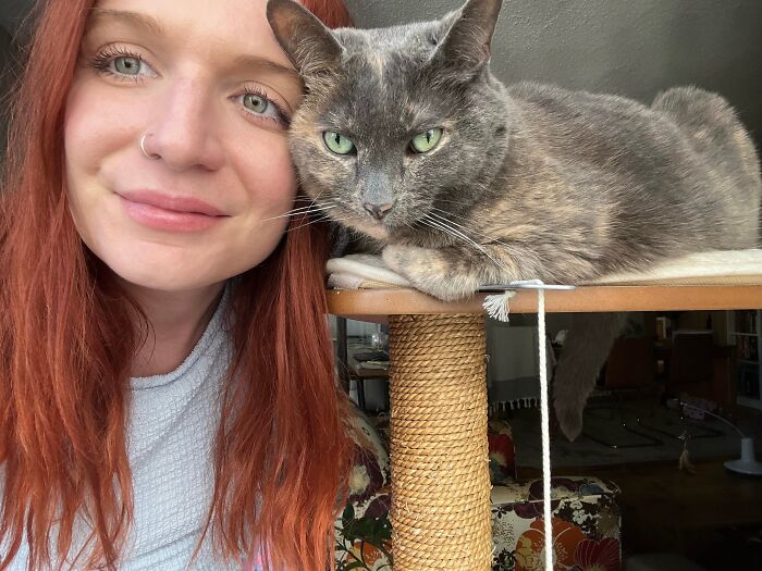 This Traveler Lives In Other People’s Homes By Cat-Sitting Their Cats, And The New Photos Are Adorable (68 New Pics) This Traveler Lives In Other People’s Homes By Cat-Sitting Their Cats, And The New Photos Are Adorable (68 New Pics)