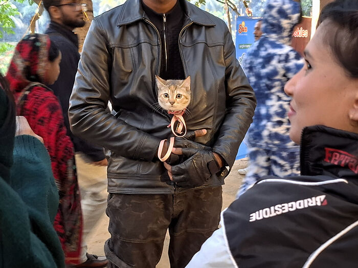 I Visited Paw Carnival And Captured 16 Heartwarming Moments I Visited Paw Carnival And Captured 16 Heartwarming Moments