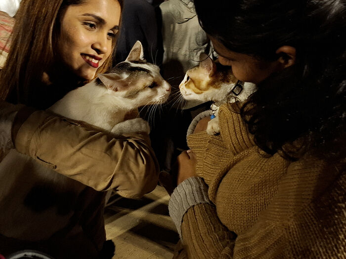 I Visited Paw Carnival And Captured 16 Heartwarming Moments I Visited Paw Carnival And Captured 16 Heartwarming Moments