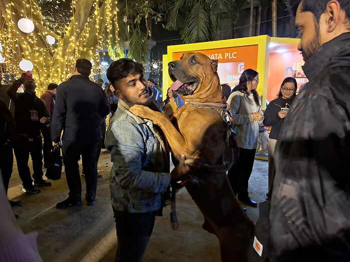 I Visited Paw Carnival And Captured 16 Heartwarming Moments I Visited Paw Carnival And Captured 16 Heartwarming Moments