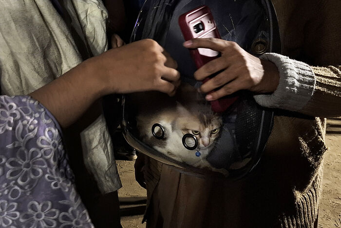 I Visited Paw Carnival And Captured 16 Heartwarming Moments I Visited Paw Carnival And Captured 16 Heartwarming Moments