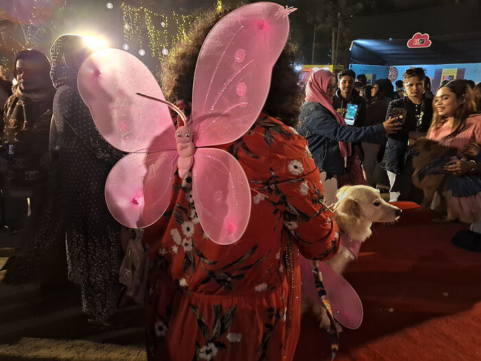 I Visited Paw Carnival And Captured 16 Heartwarming Moments I Visited Paw Carnival And Captured 16 Heartwarming Moments