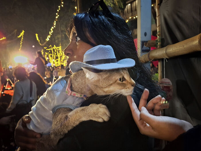 I Visited Paw Carnival And Captured 16 Heartwarming Moments I Visited Paw Carnival And Captured 16 Heartwarming Moments