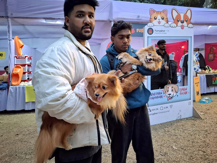 I Visited Paw Carnival And Captured 16 Heartwarming Moments I Visited Paw Carnival And Captured 16 Heartwarming Moments