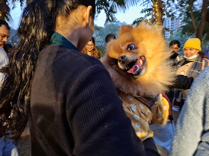 I Visited Paw Carnival And Captured 16 Heartwarming Moments I Visited Paw Carnival And Captured 16 Heartwarming Moments