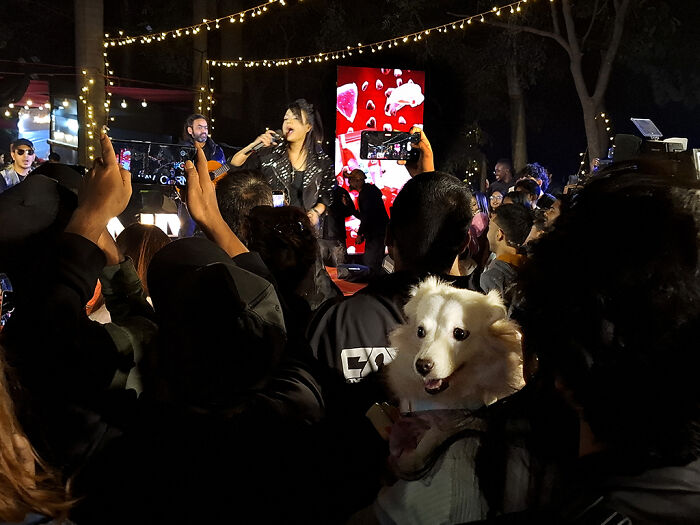 I Visited Paw Carnival And Captured 16 Heartwarming Moments I Visited Paw Carnival And Captured 16 Heartwarming Moments