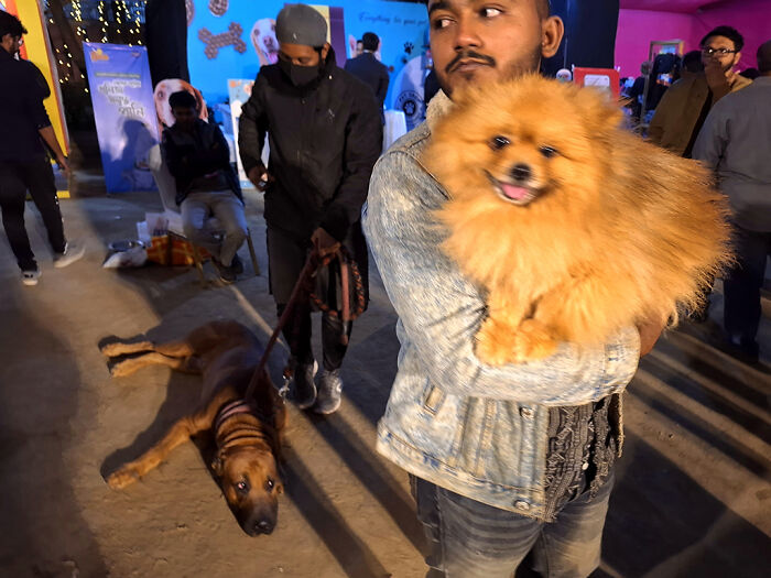I Visited Paw Carnival And Captured 16 Heartwarming Moments I Visited Paw Carnival And Captured 16 Heartwarming Moments