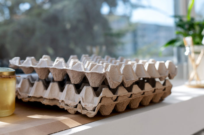 DIY-Lover Uses Stinky Egg Cartons To Soundproof GF’s Home Office, Livid As She Absolutely Hates It DIY-Lover Uses Stinky Egg Cartons To Soundproof GF’s Home Office, Livid As She Absolutely Hates It