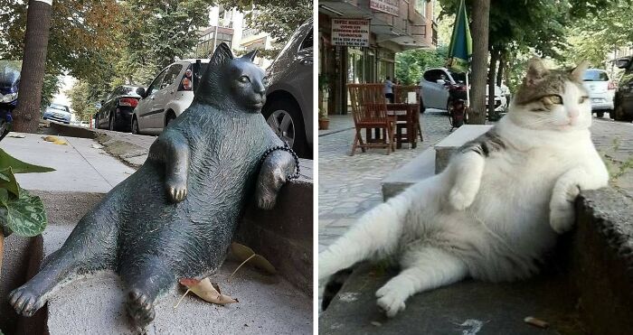 This Instagram Account Shares Fascinating Fun Facts And Real Life Stories, Here’s 20 Of Their Best Posts This Instagram Account Shares Fascinating Fun Facts And Real Life Stories, Here’s 20 Of Their Best Posts