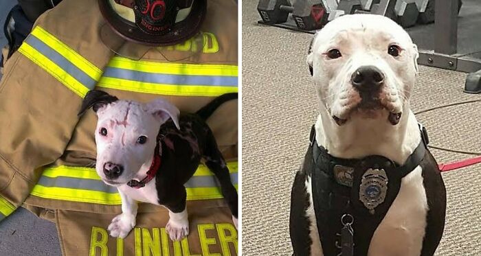 This Instagram Account Shares Fascinating Fun Facts And Real Life Stories, Here’s 20 Of Their Best Posts This Instagram Account Shares Fascinating Fun Facts And Real Life Stories, Here’s 20 Of Their Best Posts