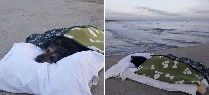 This Instagram Account Shares Fascinating Fun Facts And Real Life Stories, Here’s 20 Of Their Best Posts This Instagram Account Shares Fascinating Fun Facts And Real Life Stories, Here’s 20 Of Their Best Posts