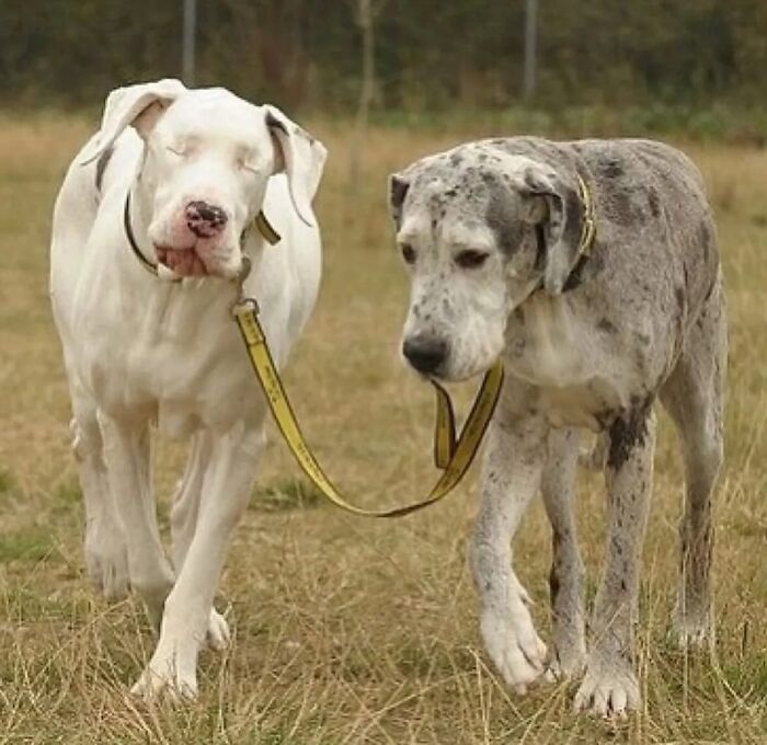 This Instagram Account Shares Fascinating Fun Facts And Real Life Stories, Here’s 20 Of Their Best Posts This Instagram Account Shares Fascinating Fun Facts And Real Life Stories, Here’s 20 Of Their Best Posts