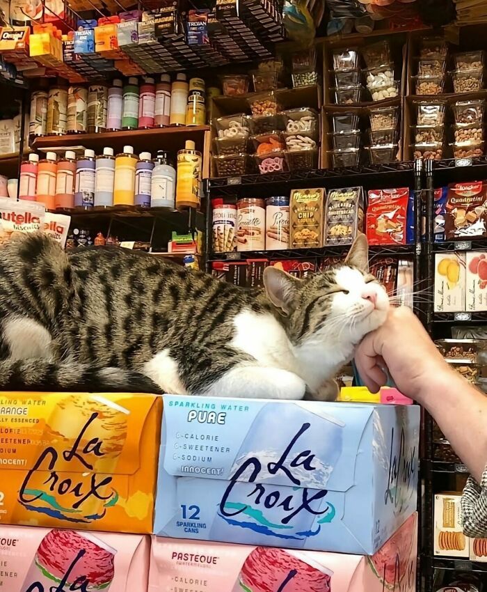 This Instagram Account Shares Fascinating Fun Facts And Real Life Stories, Here’s 20 Of Their Best Posts This Instagram Account Shares Fascinating Fun Facts And Real Life Stories, Here’s 20 Of Their Best Posts