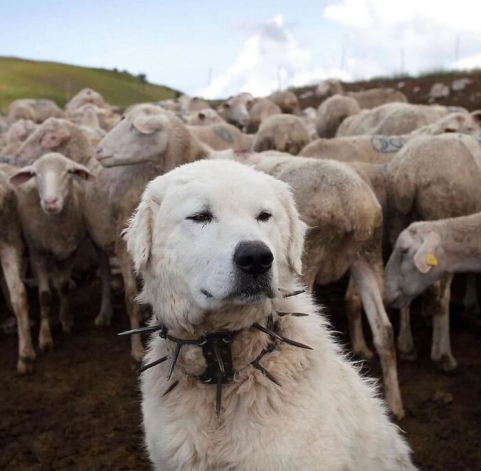 This Instagram Account Shares Fascinating Fun Facts And Real Life Stories, Here’s 20 Of Their Best Posts This Instagram Account Shares Fascinating Fun Facts And Real Life Stories, Here’s 20 Of Their Best Posts