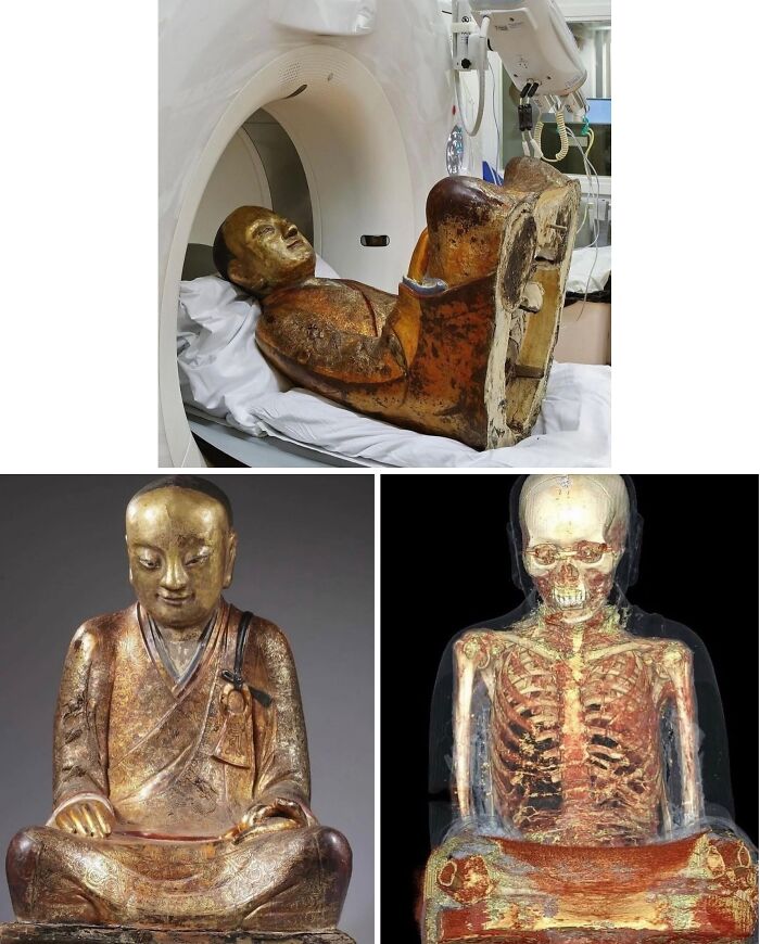 This Instagram Account Shares Fascinating Fun Facts And Real Life Stories, Here’s 20 Of Their Best Posts This Instagram Account Shares Fascinating Fun Facts And Real Life Stories, Here’s 20 Of Their Best Posts