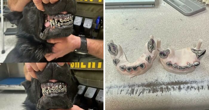 This Instagram Account Shares Fascinating Fun Facts And Real Life Stories, Here’s 20 Of Their Best Posts This Instagram Account Shares Fascinating Fun Facts And Real Life Stories, Here’s 20 Of Their Best Posts