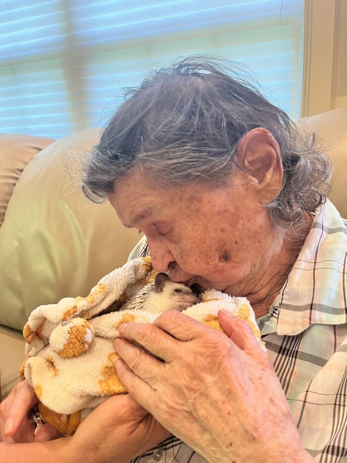 I Took 38 Adorable Hedgehog Photos Showing How People React To Them I Took 38 Adorable Hedgehog Photos Showing How People React To Them