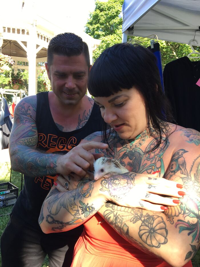 I Took 38 Adorable Hedgehog Photos Showing How People React To Them I Took 38 Adorable Hedgehog Photos Showing How People React To Them