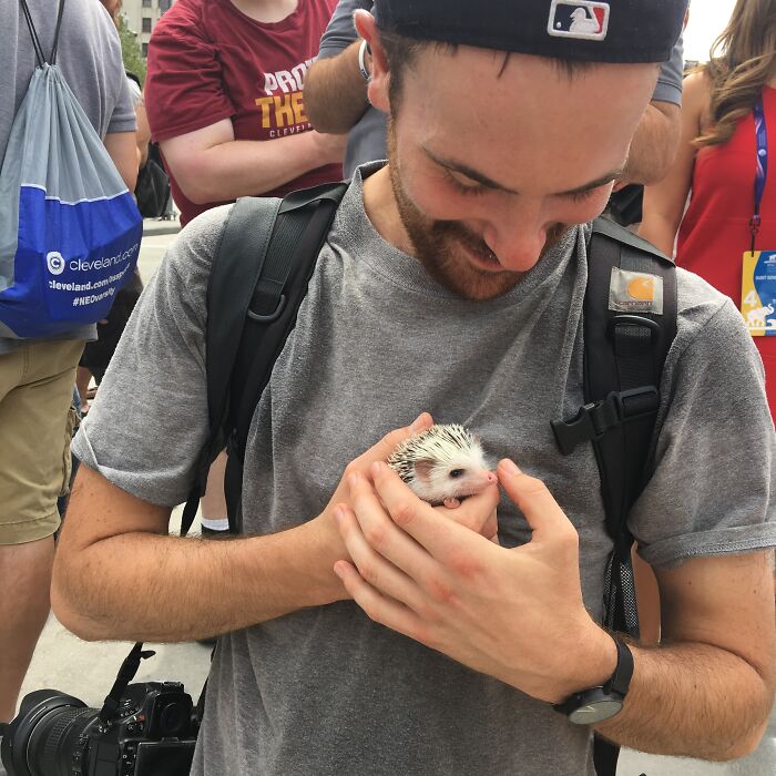 I Took 38 Adorable Hedgehog Photos Showing How People React To Them I Took 38 Adorable Hedgehog Photos Showing How People React To Them