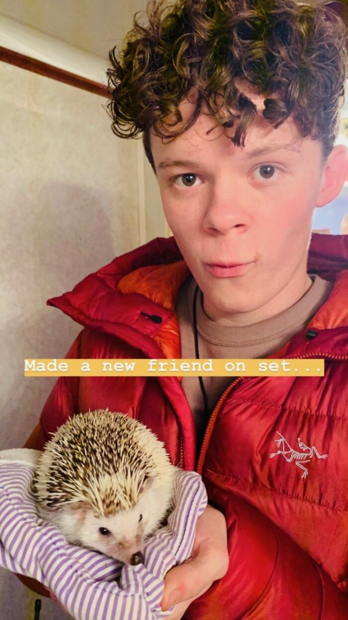 I Took 38 Adorable Hedgehog Photos Showing How People React To Them I Took 38 Adorable Hedgehog Photos Showing How People React To Them
