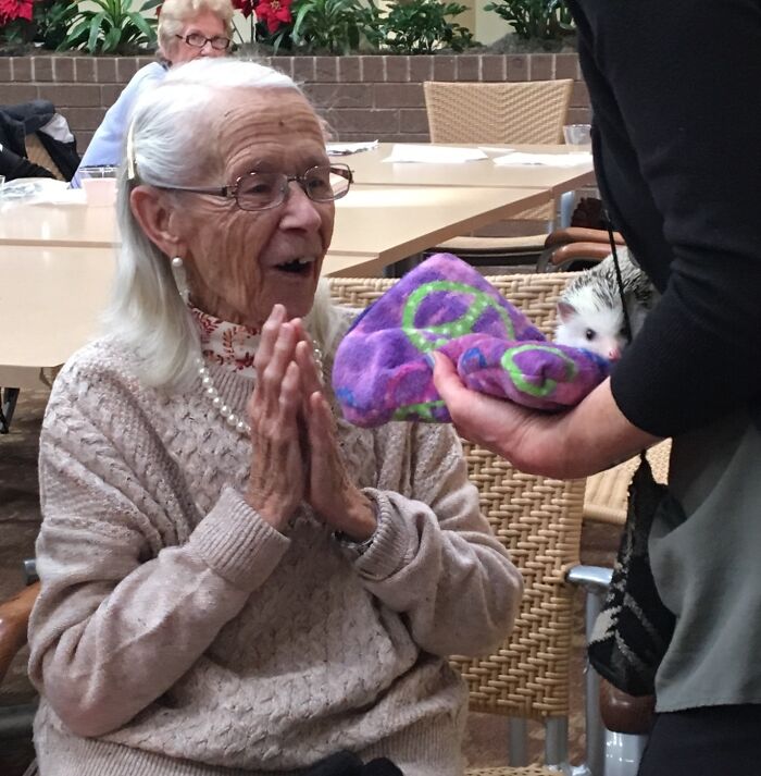 I Took 38 Adorable Hedgehog Photos Showing How People React To Them I Took 38 Adorable Hedgehog Photos Showing How People React To Them