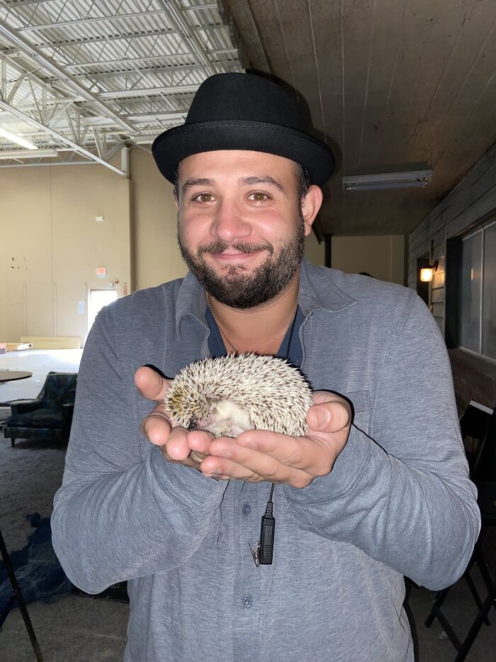 I Took 38 Adorable Hedgehog Photos Showing How People React To Them I Took 38 Adorable Hedgehog Photos Showing How People React To Them