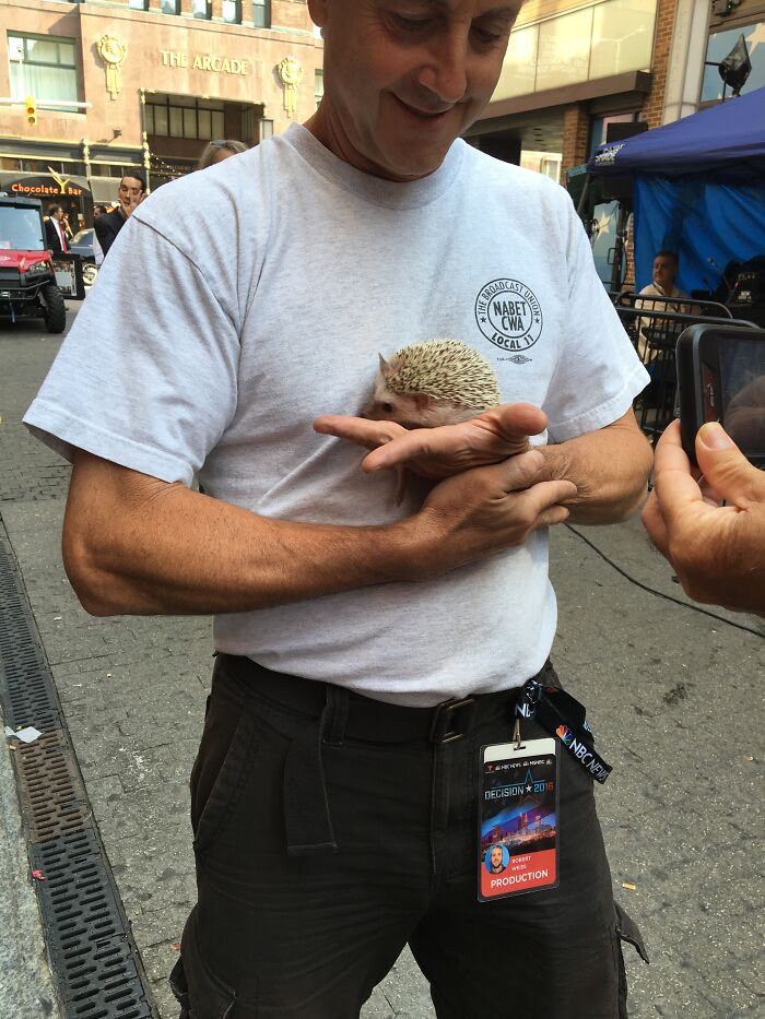 I Took 38 Adorable Hedgehog Photos Showing How People React To Them I Took 38 Adorable Hedgehog Photos Showing How People React To Them