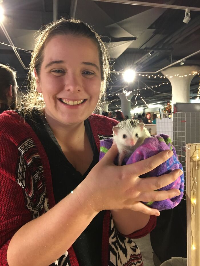 I Took 38 Adorable Hedgehog Photos Showing How People React To Them I Took 38 Adorable Hedgehog Photos Showing How People React To Them