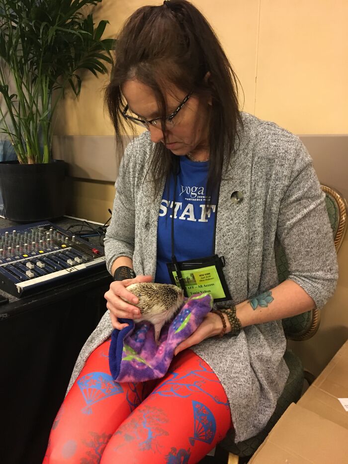 I Took 38 Adorable Hedgehog Photos Showing How People React To Them I Took 38 Adorable Hedgehog Photos Showing How People React To Them